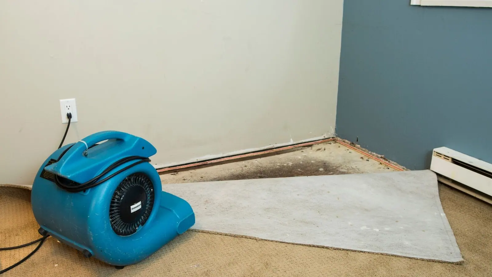 Water Mitigation in Cleveland, OH